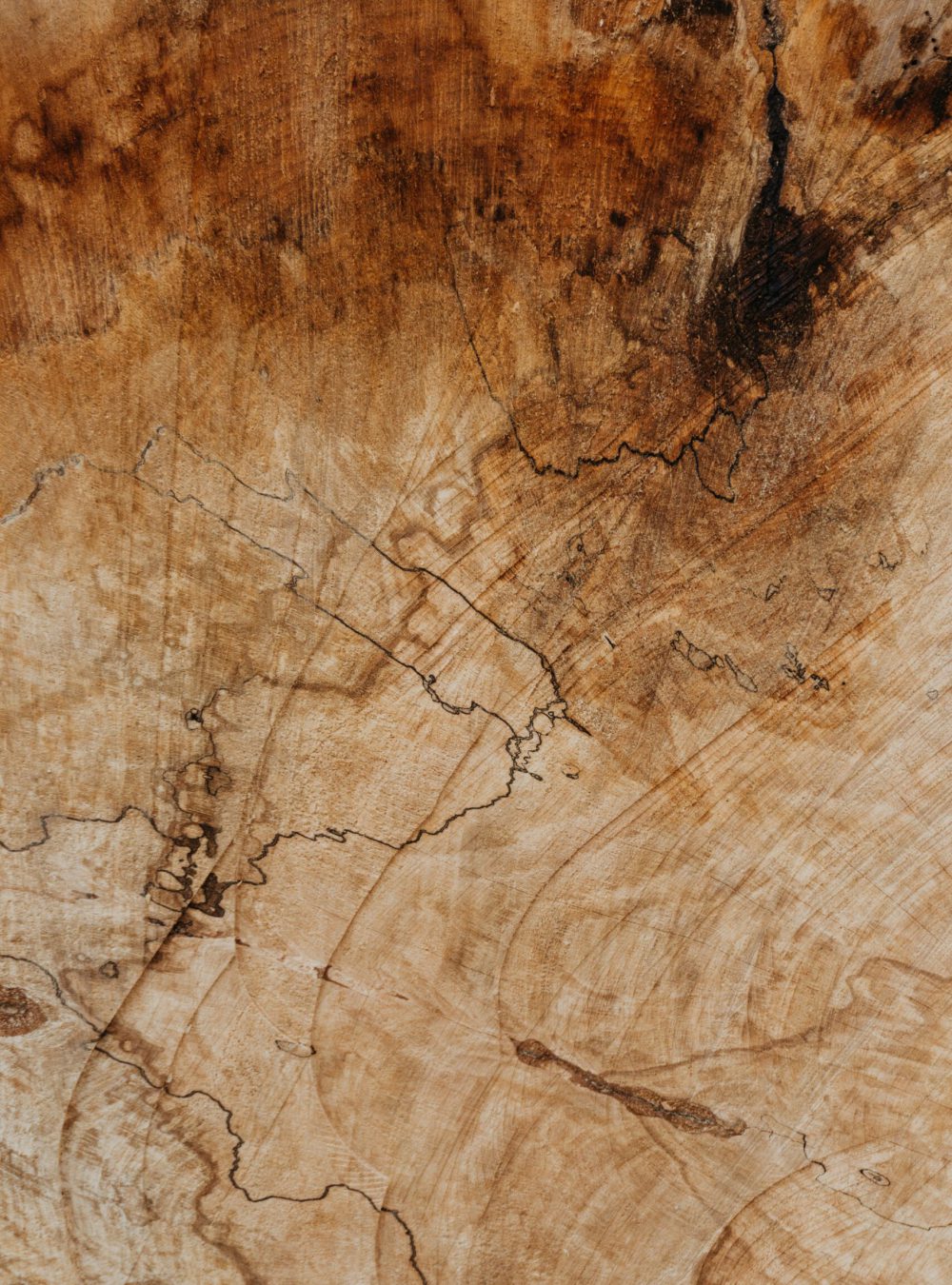 makena stories, Symbolbild Holz